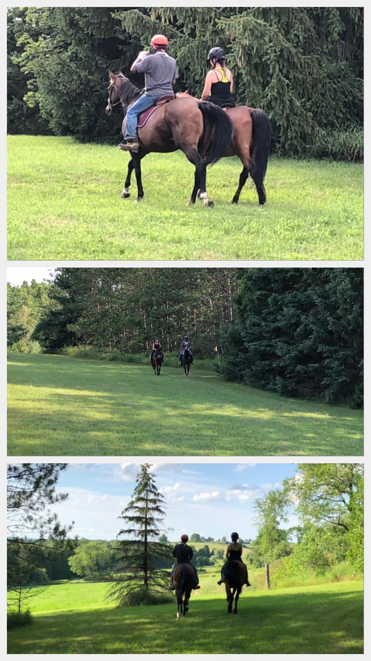 Affordable Camping on Hobby Farm