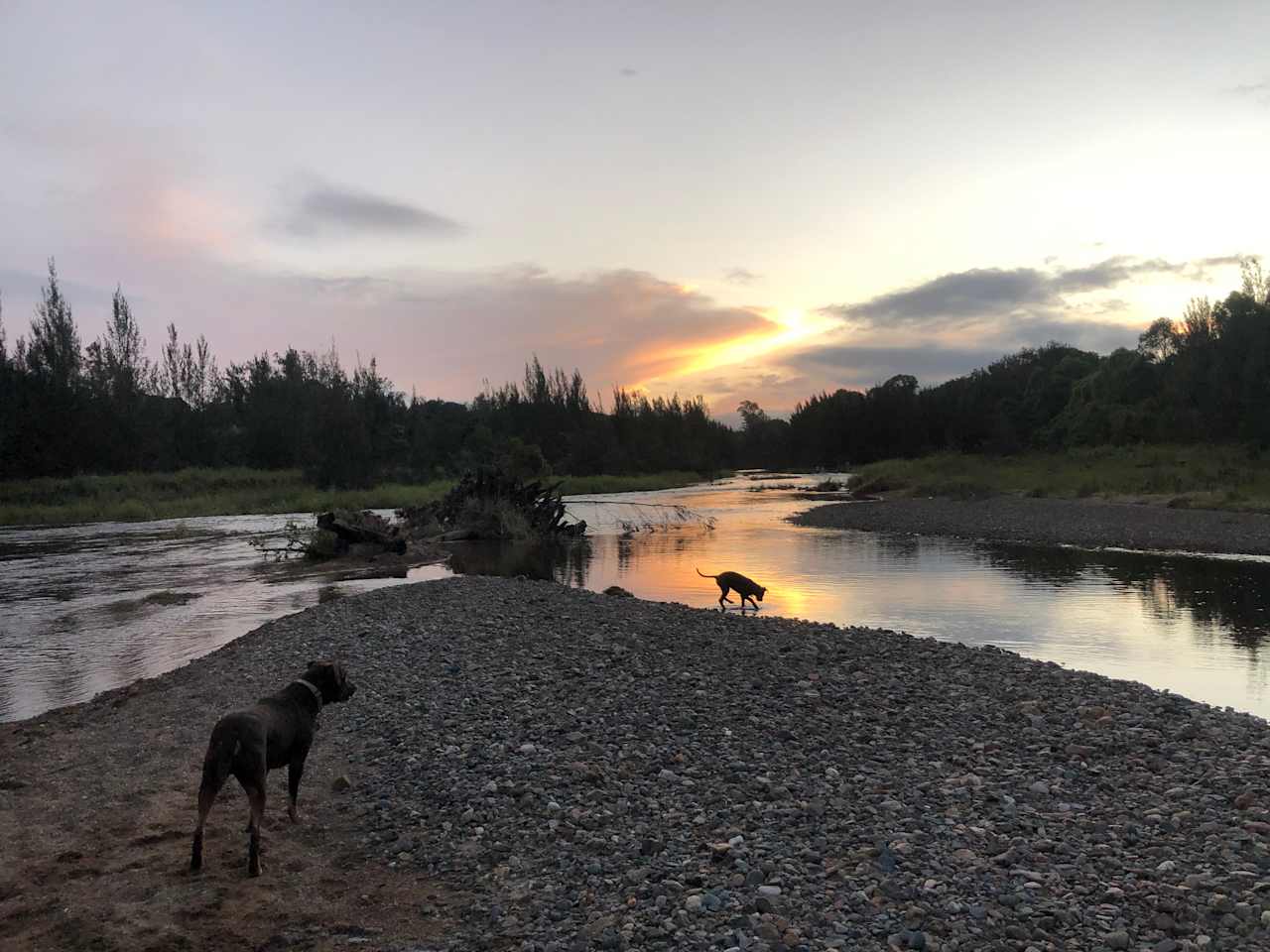 Kenilworth Rural Camping