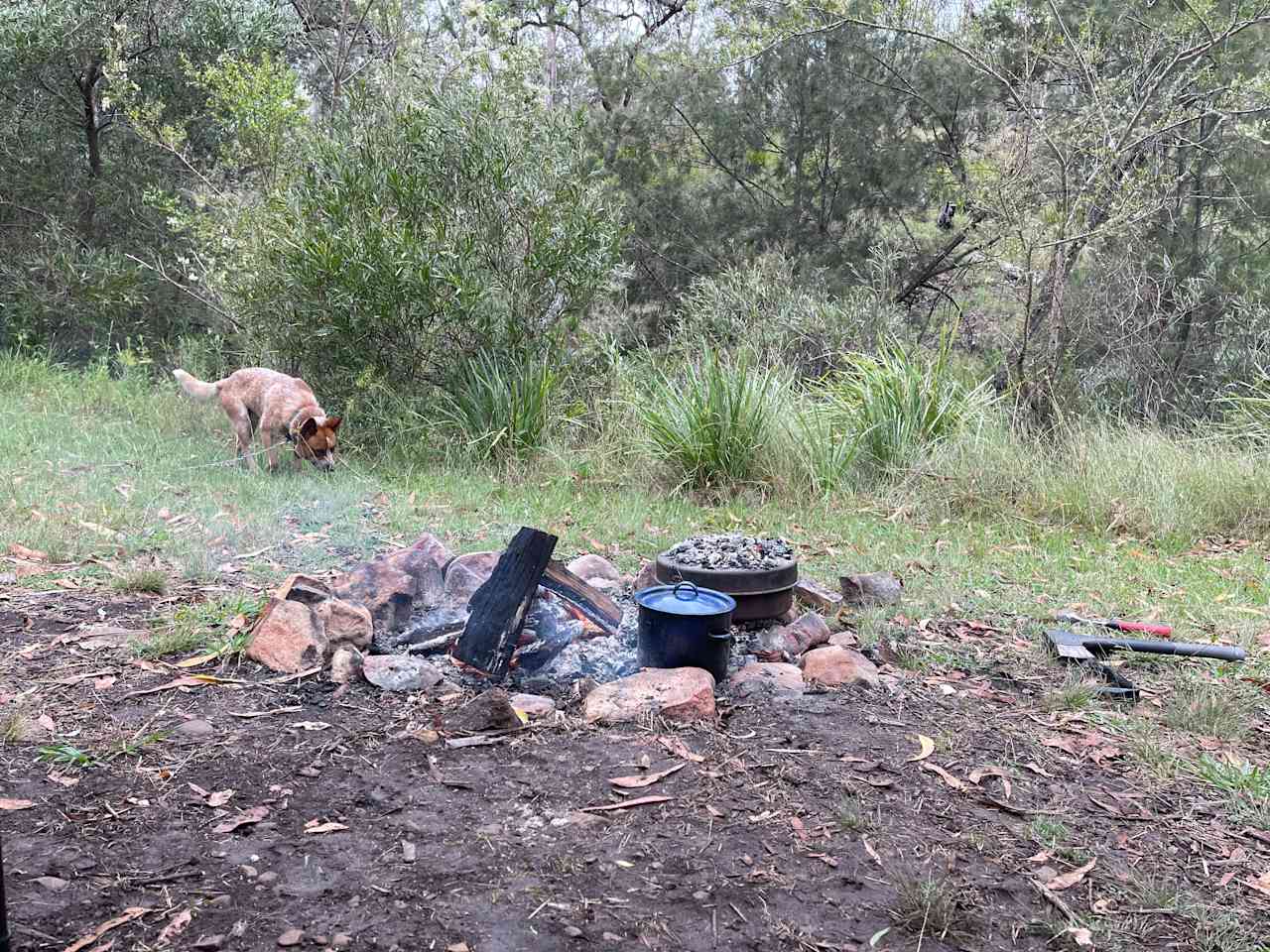 Nyalar Mirunganah Nature Refuge