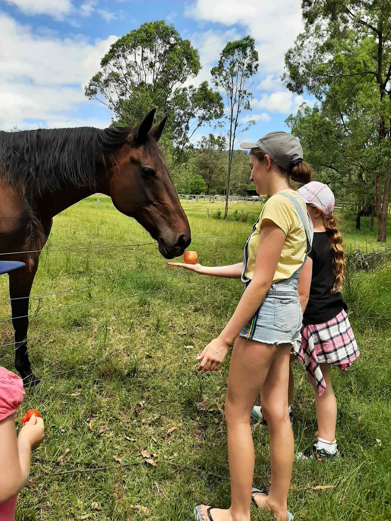 Dean's Green Paddock, Hunter Valley