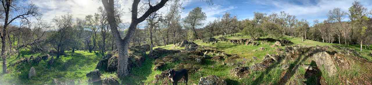 Hiking the 130 acres! 