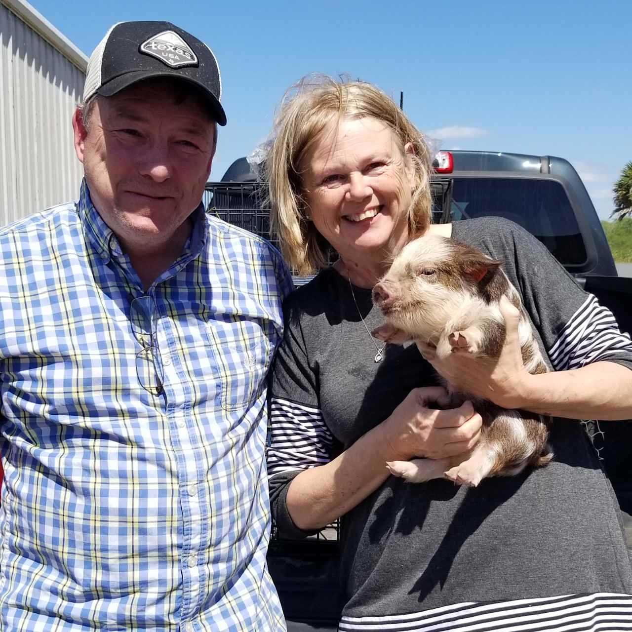 Farm Visitors