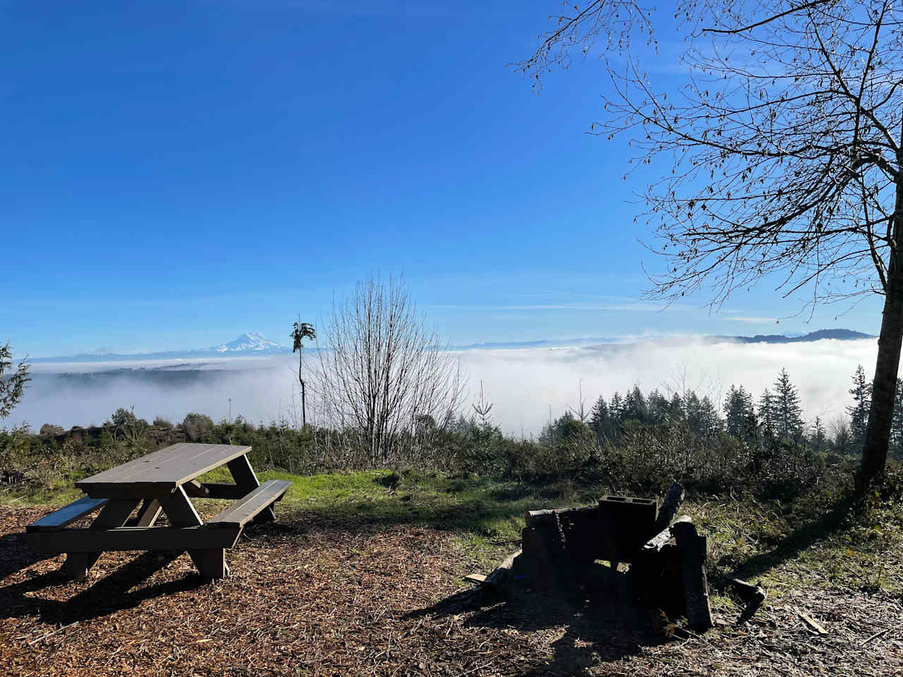 The Hairy Eagle Lookout 🦅