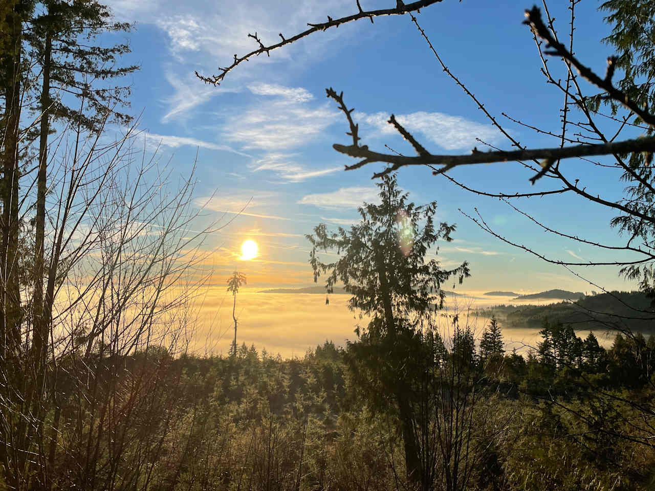 The Hairy Eagle Lookout 🦅