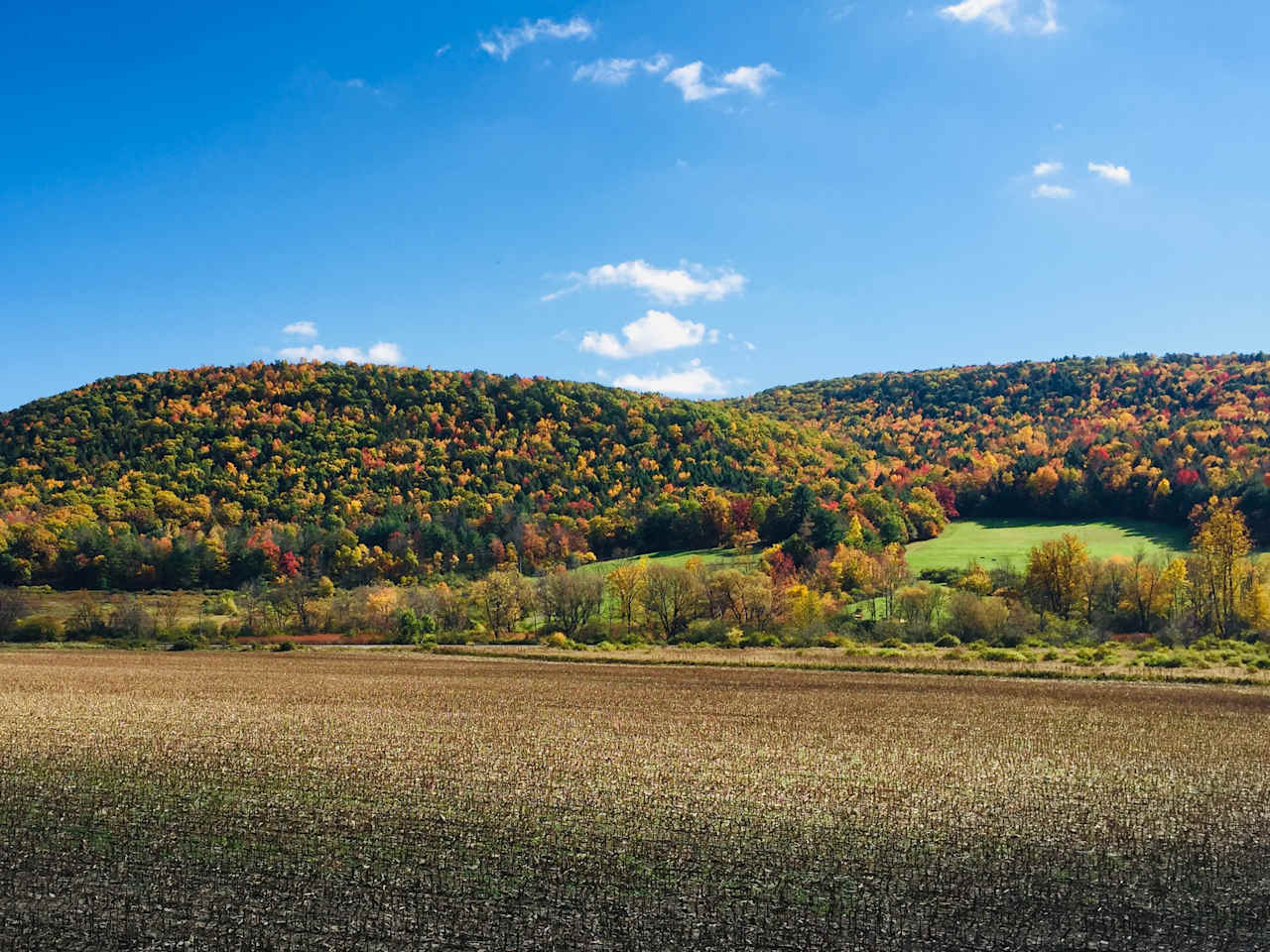 Callahan Farm