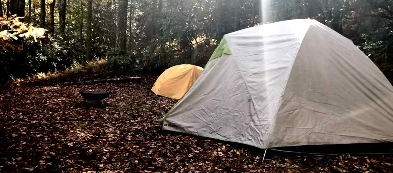 Site #1  Dropping In
- This is our most spacious site (~ 32'x20') 
with plenty of room for more than one car and multiple tents.  