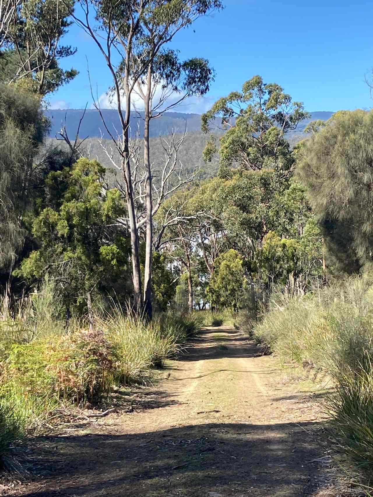 South Bruny Paradise