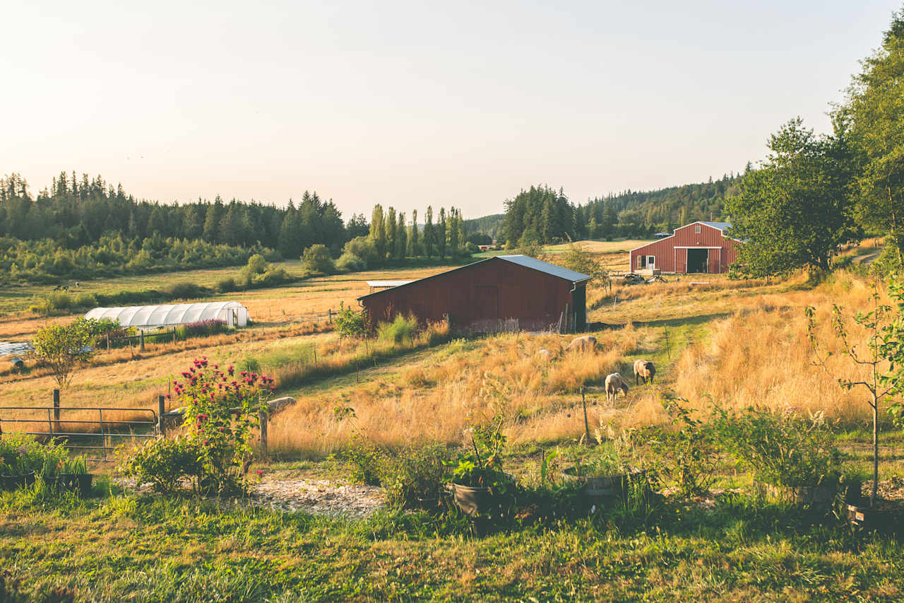 The view of the front of the barn from our farmhouse (the RV site is on the other side on the south side).