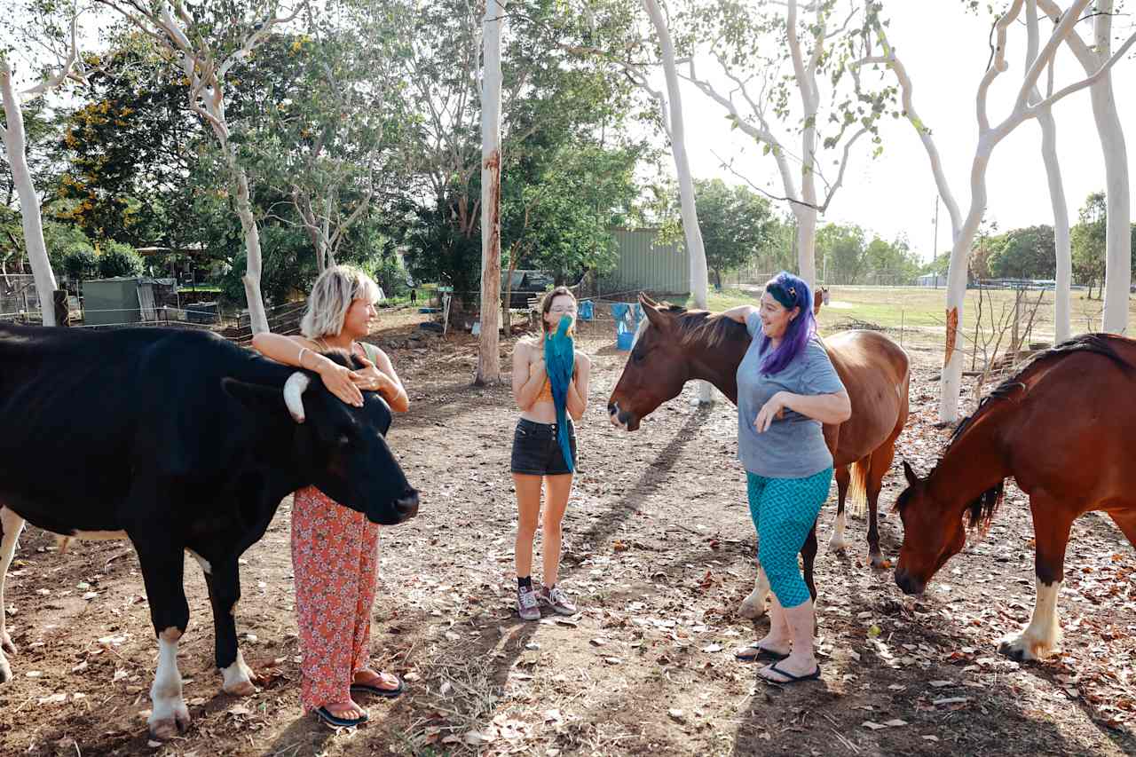 Coothara Farm