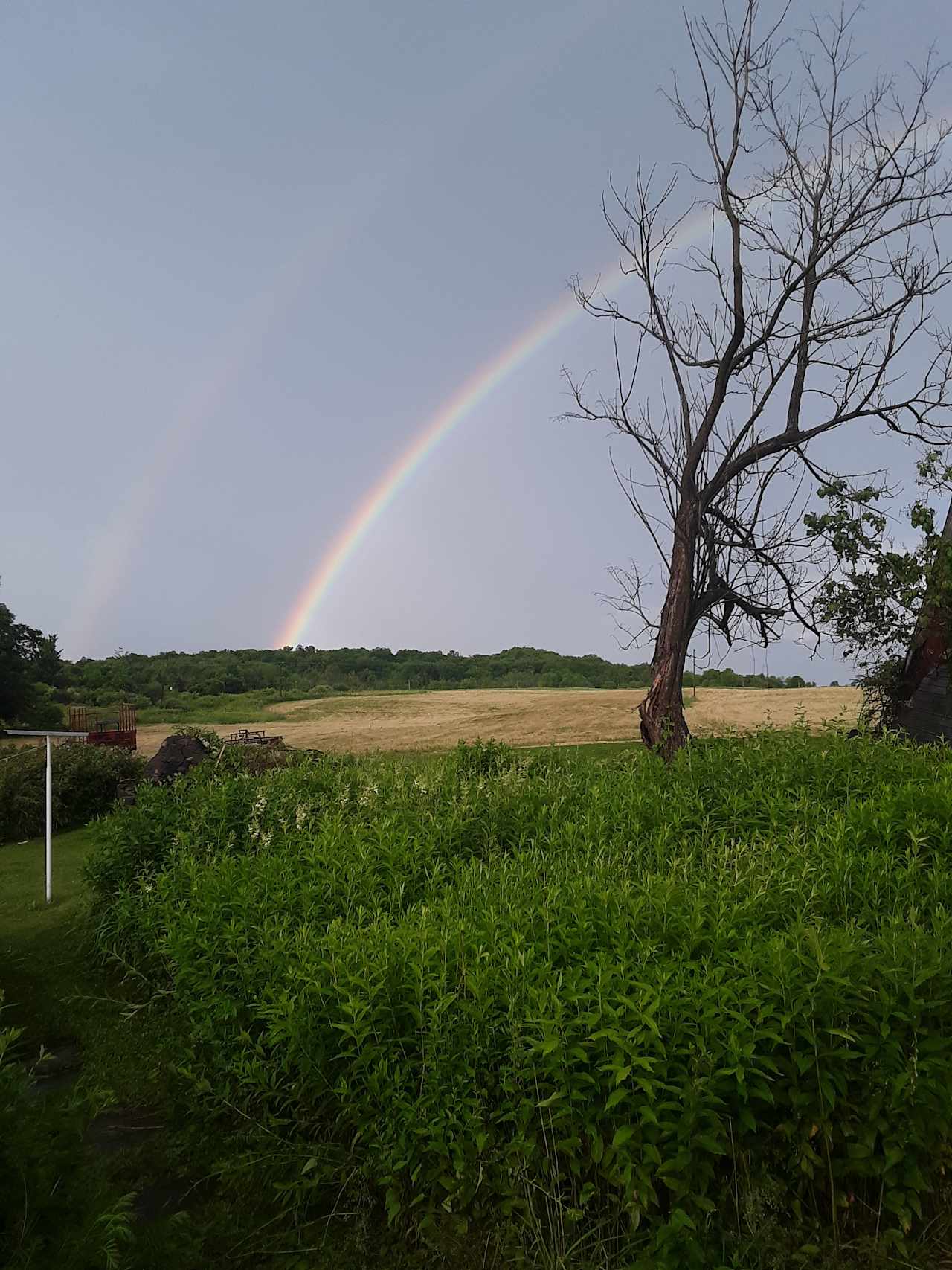 Valley Side Farm