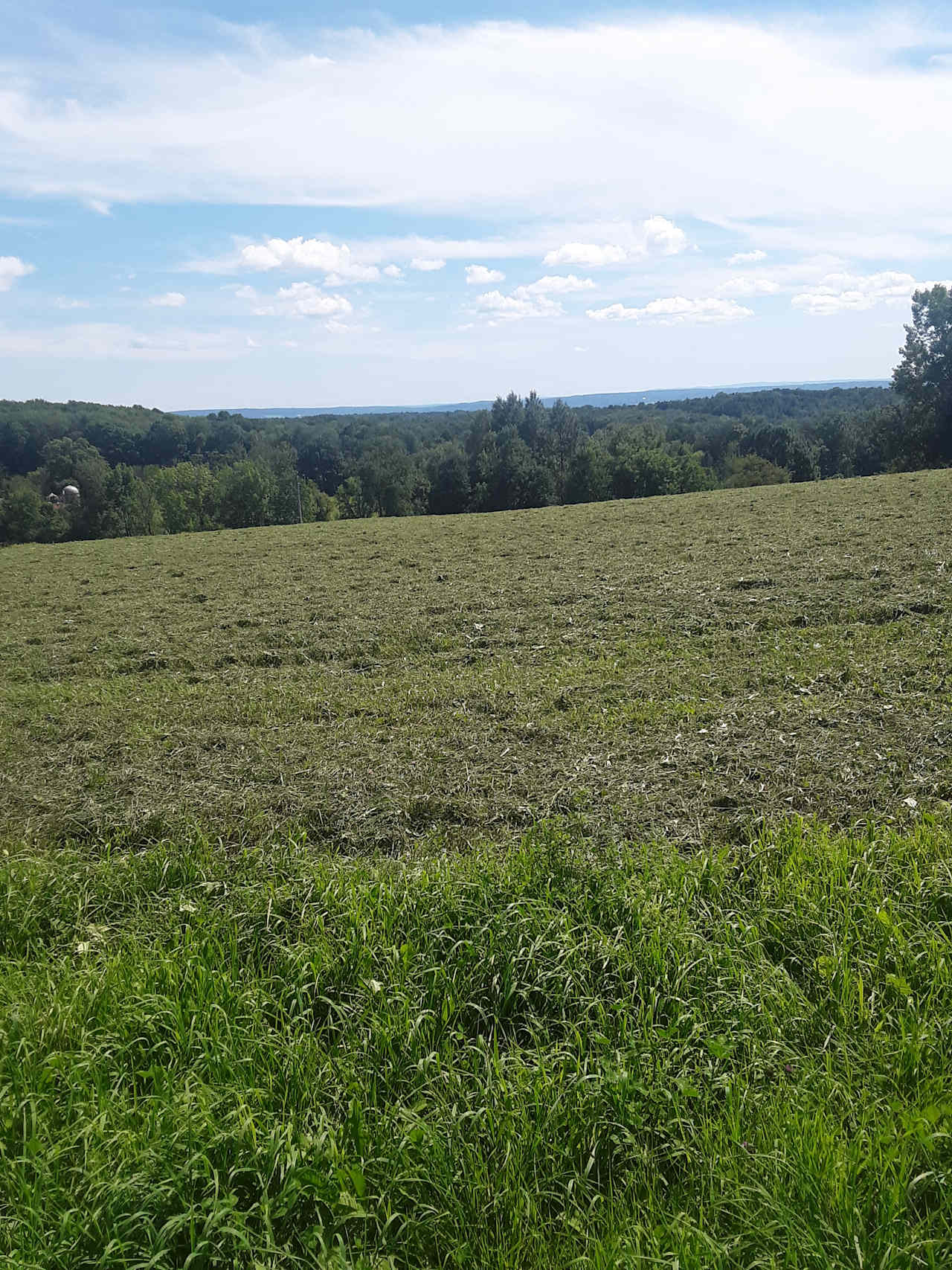 Valley Side Farm