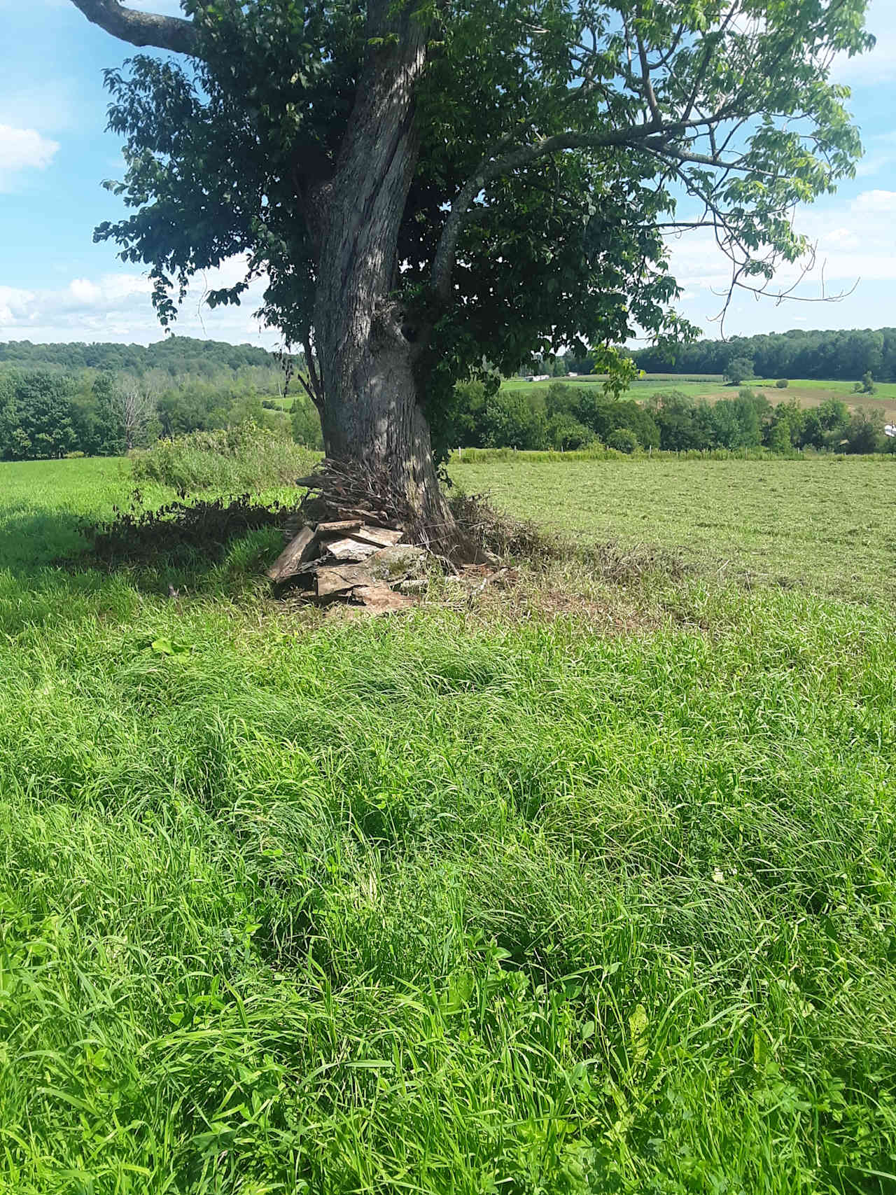 Valley Side Farm