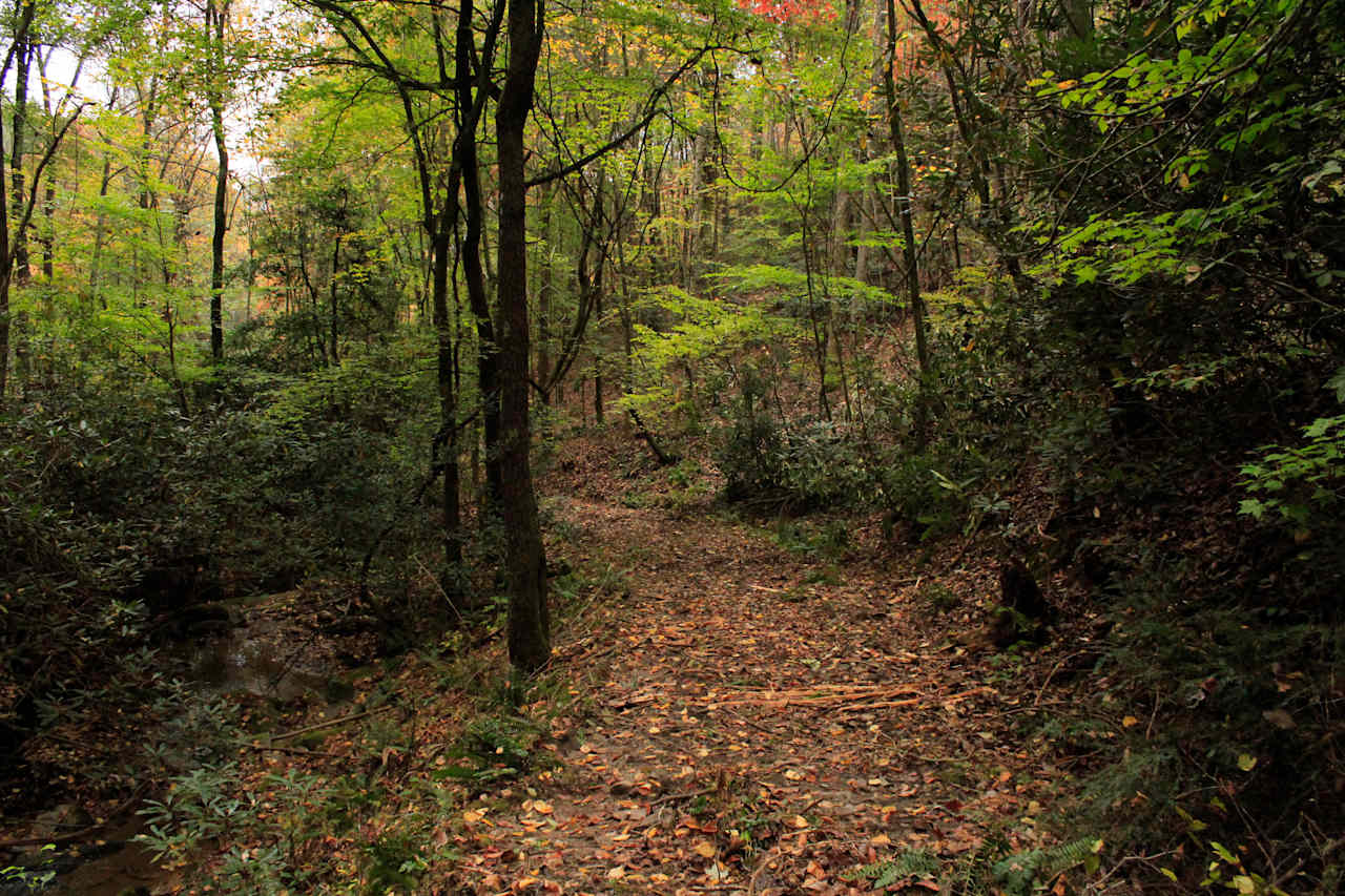 Blue Ridge Ranch