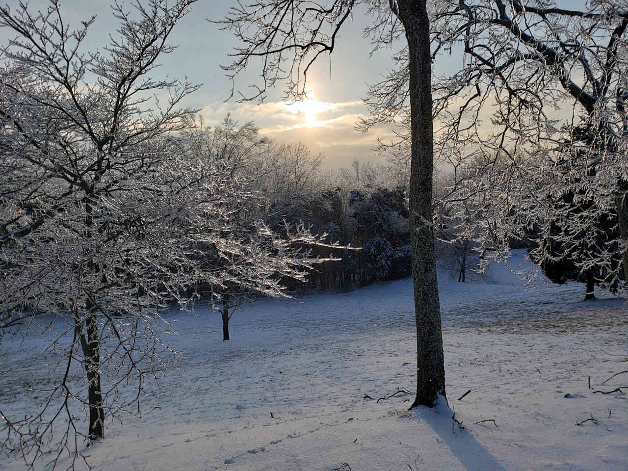 looking down the hill from the upper field, the pond is frozen on the left