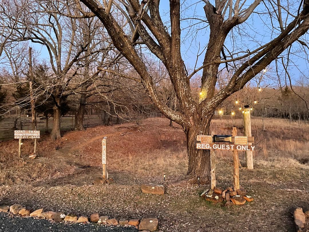 RV check in area at twilight