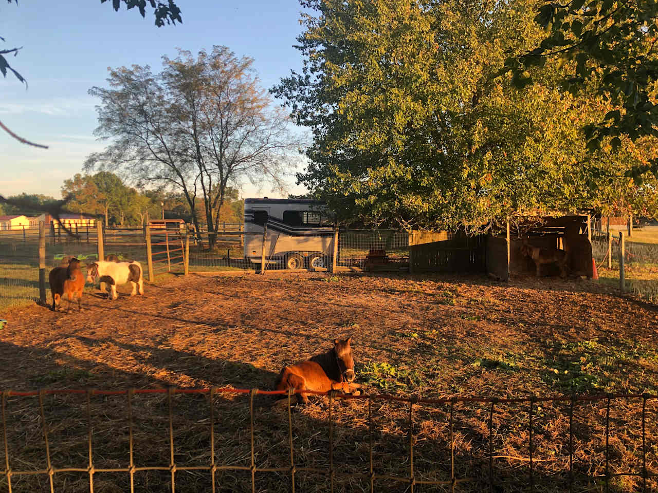 Countryside Horse Farm