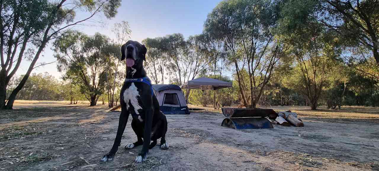 Murray River Bush Camp