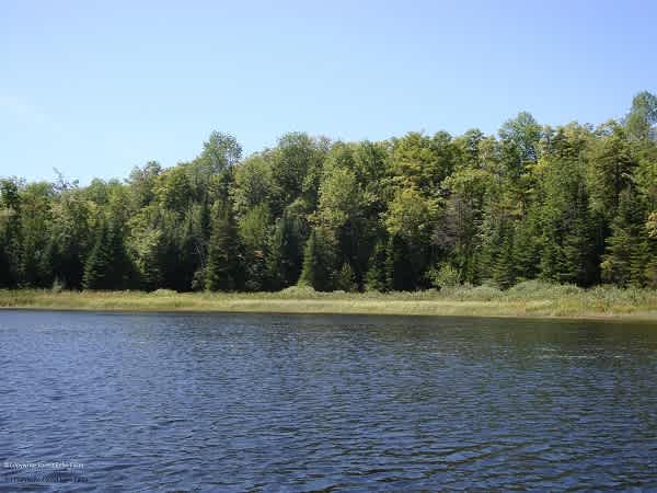 Tiny Pond,  a 26-acre protected pond at Forest Echo.