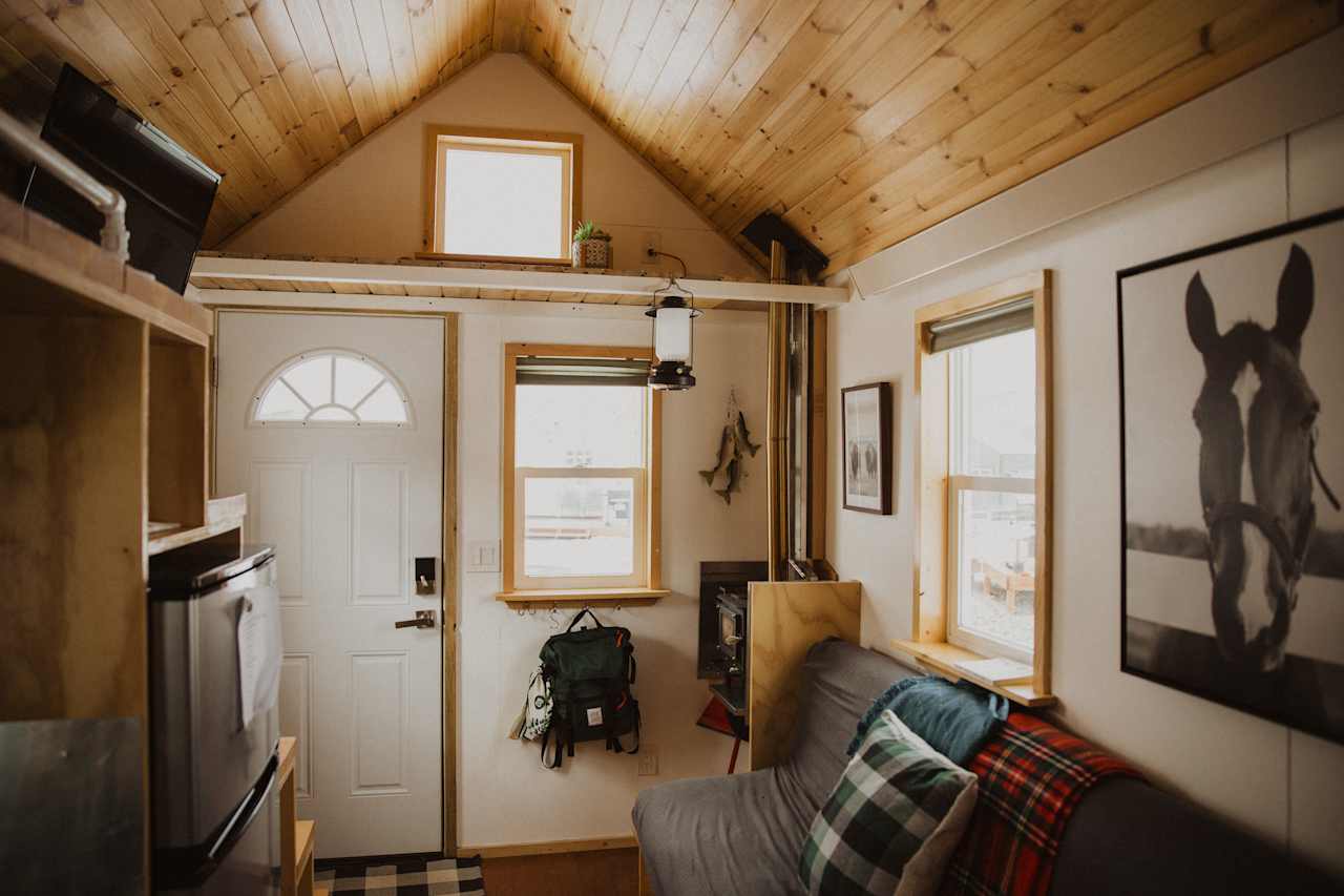 The living room, which was full of natural light. 