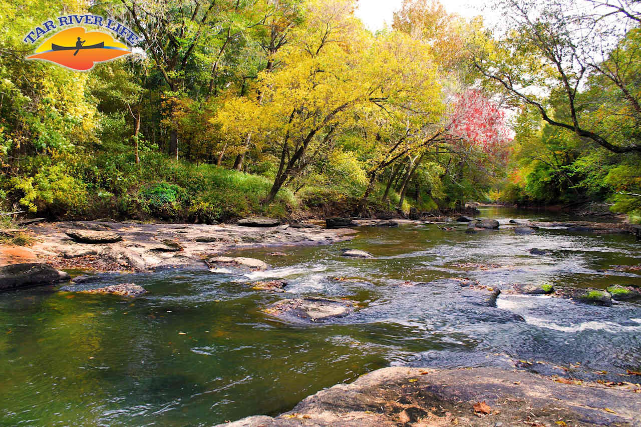 Tar River Life