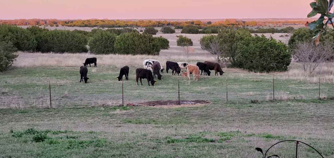 Fossil Bed Camp