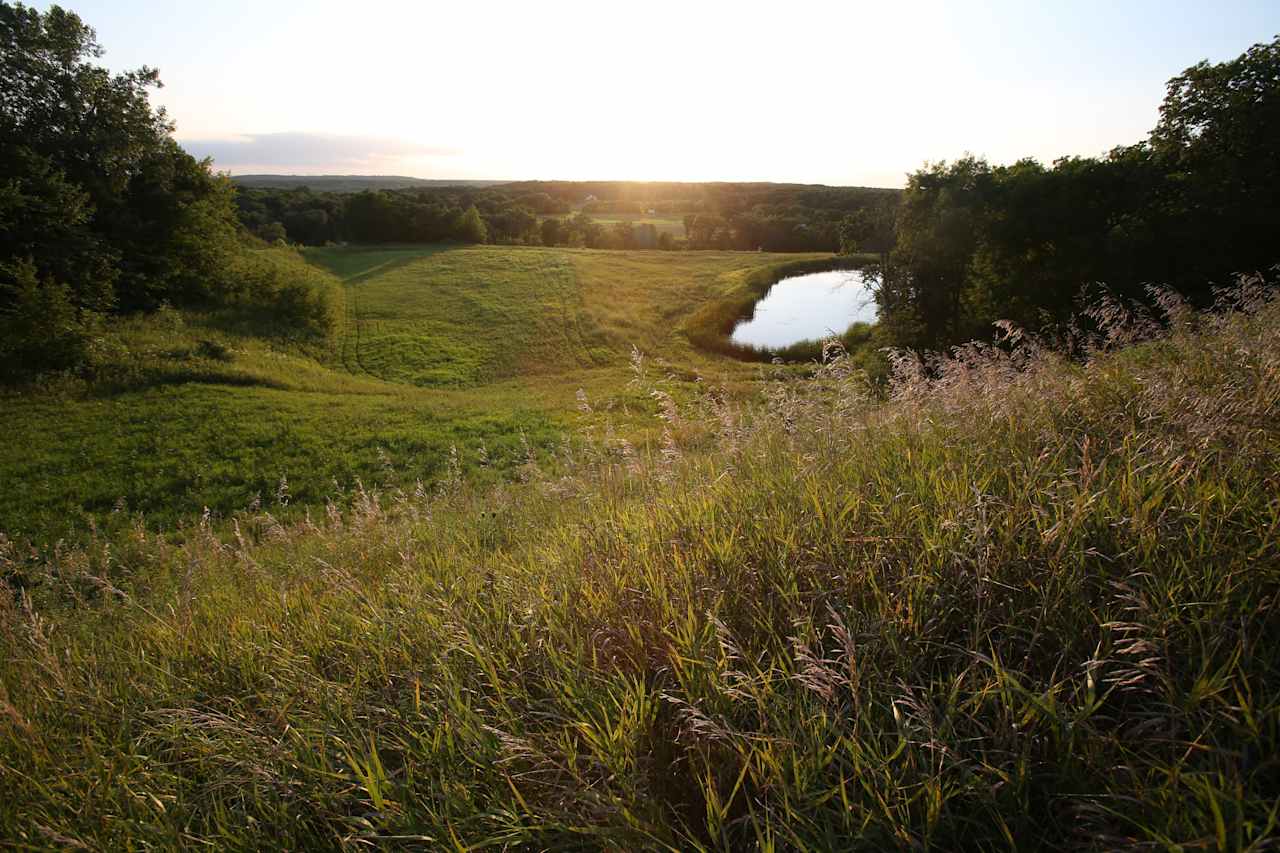 Dusk over the pond...