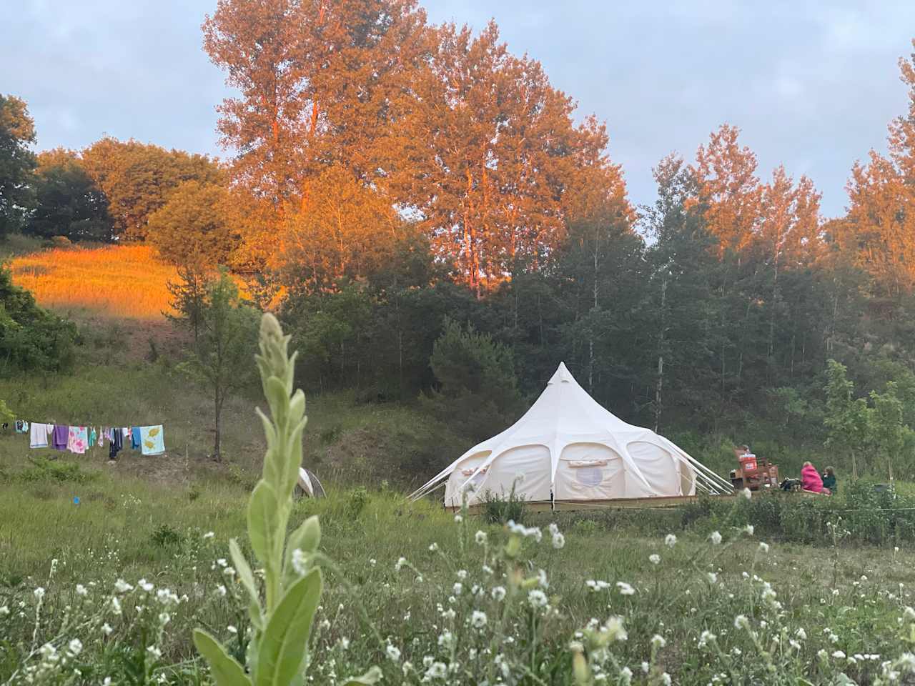 The Lotus Belle tent is built on a large wooden deck. The Belle tent is very large at 20' x 20' and is 14' high. 