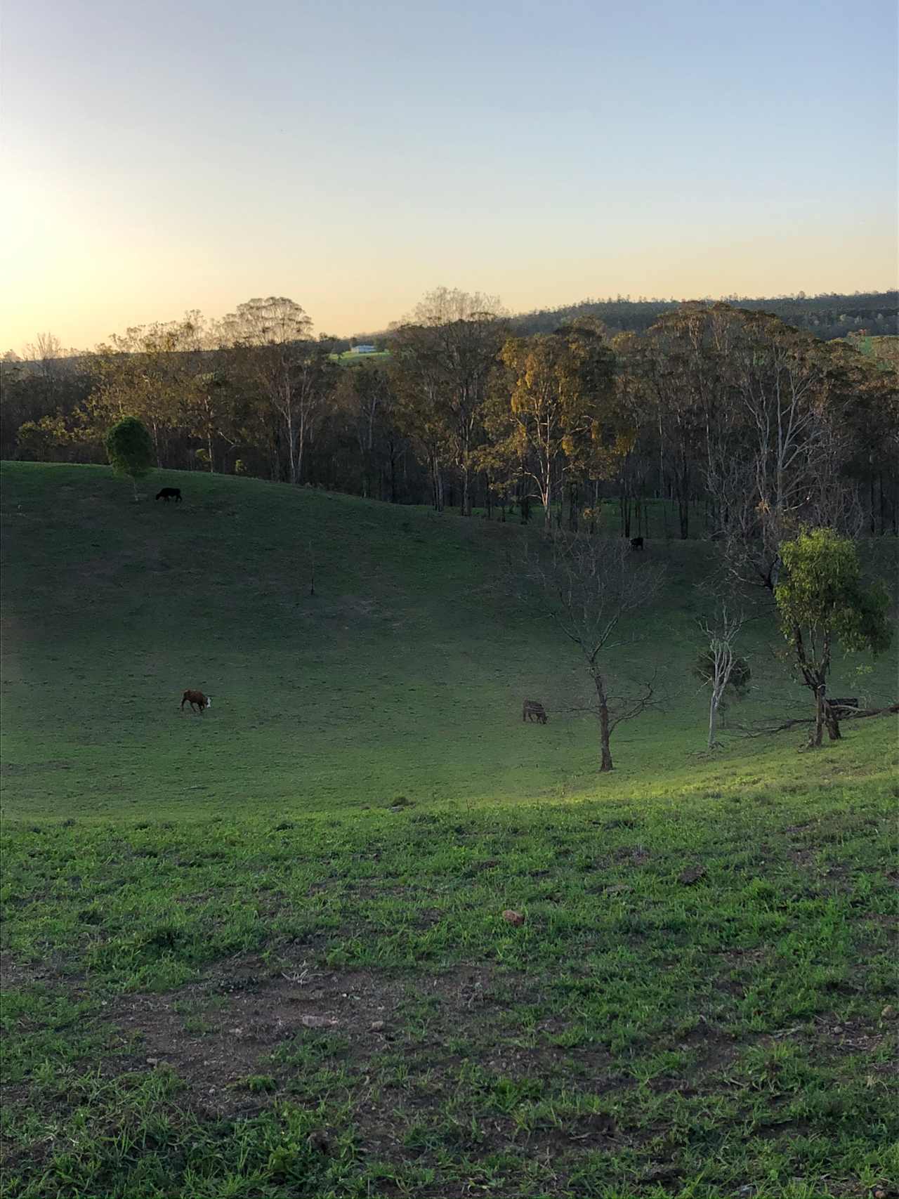 Views from Valley Views campsite