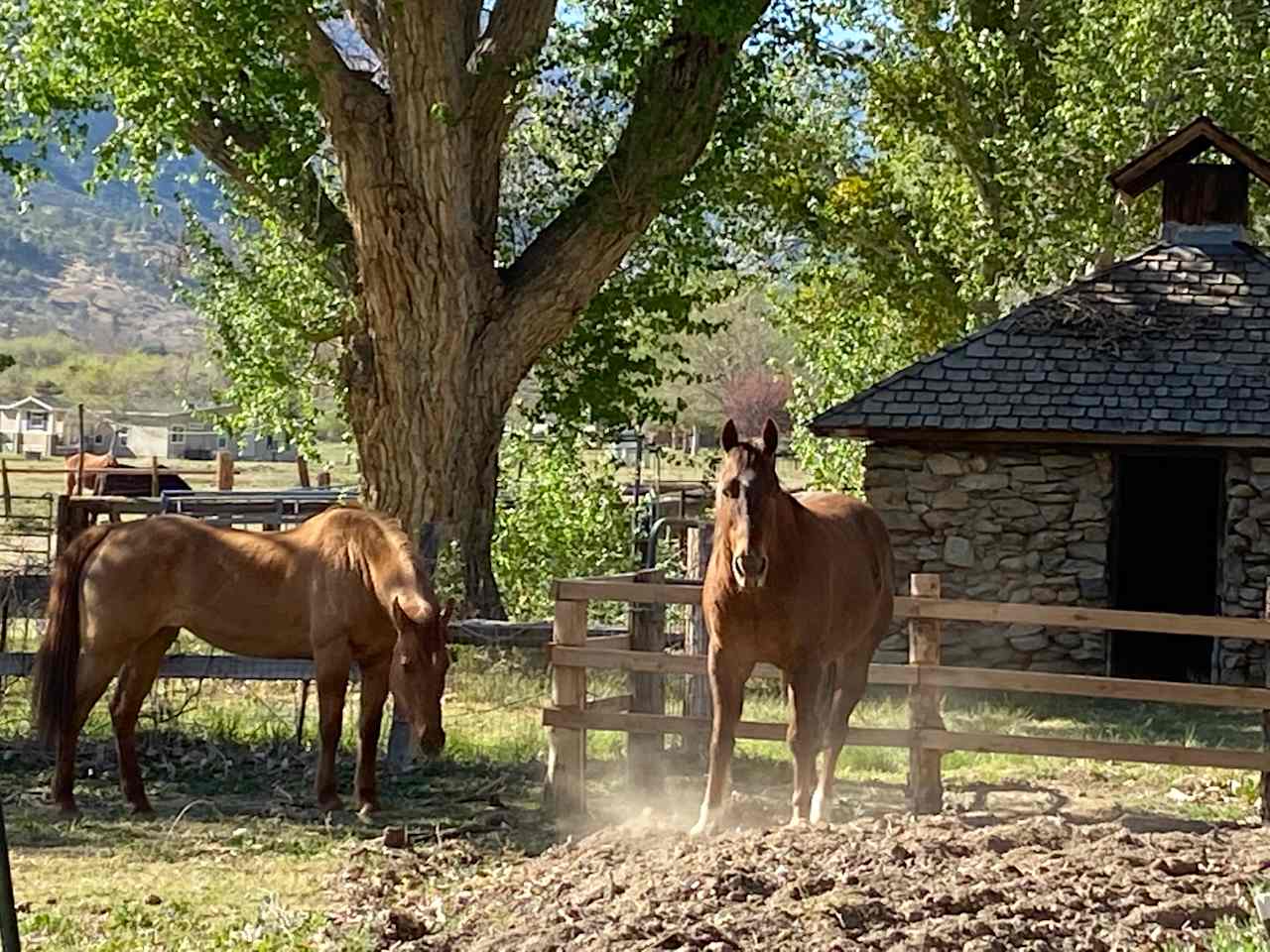 Kernville Ranch