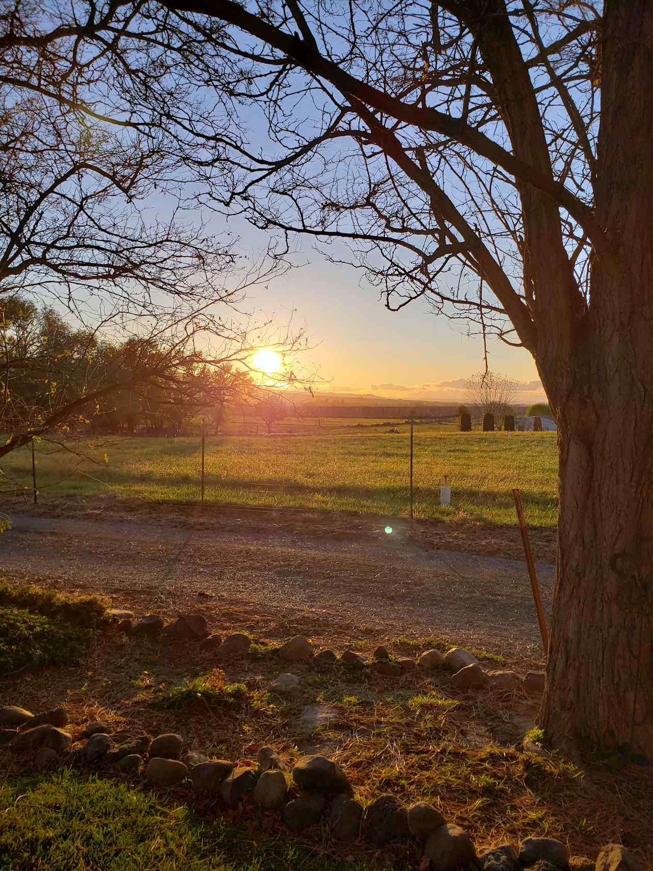 Camp in Wine Country