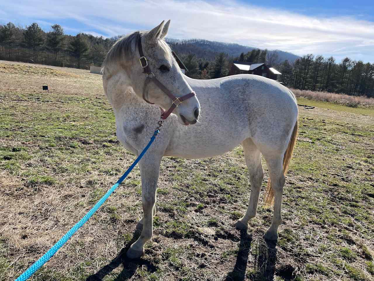 Bent River Equestrian