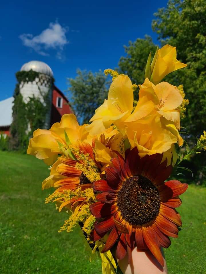 Evergreen Oasis Farm