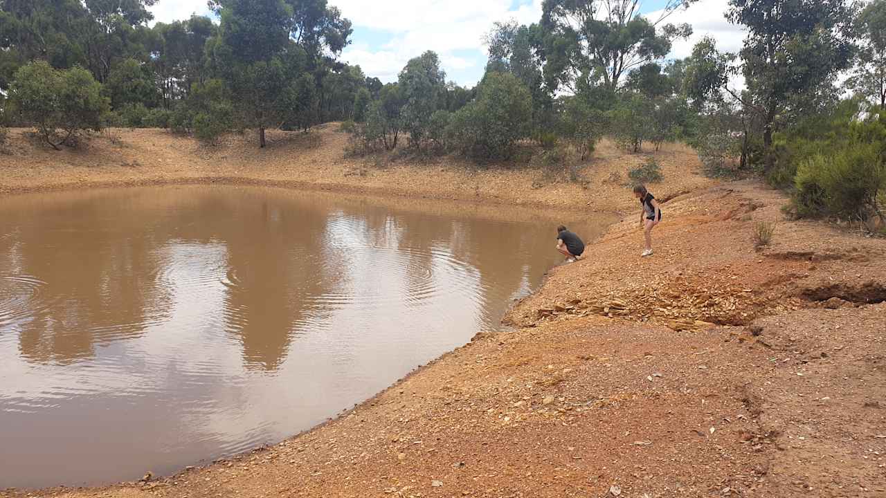 Skipping Stones at the water hole.  Sooo Many stones!