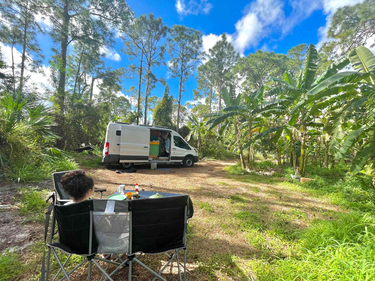 Anderson's Tropical Farm