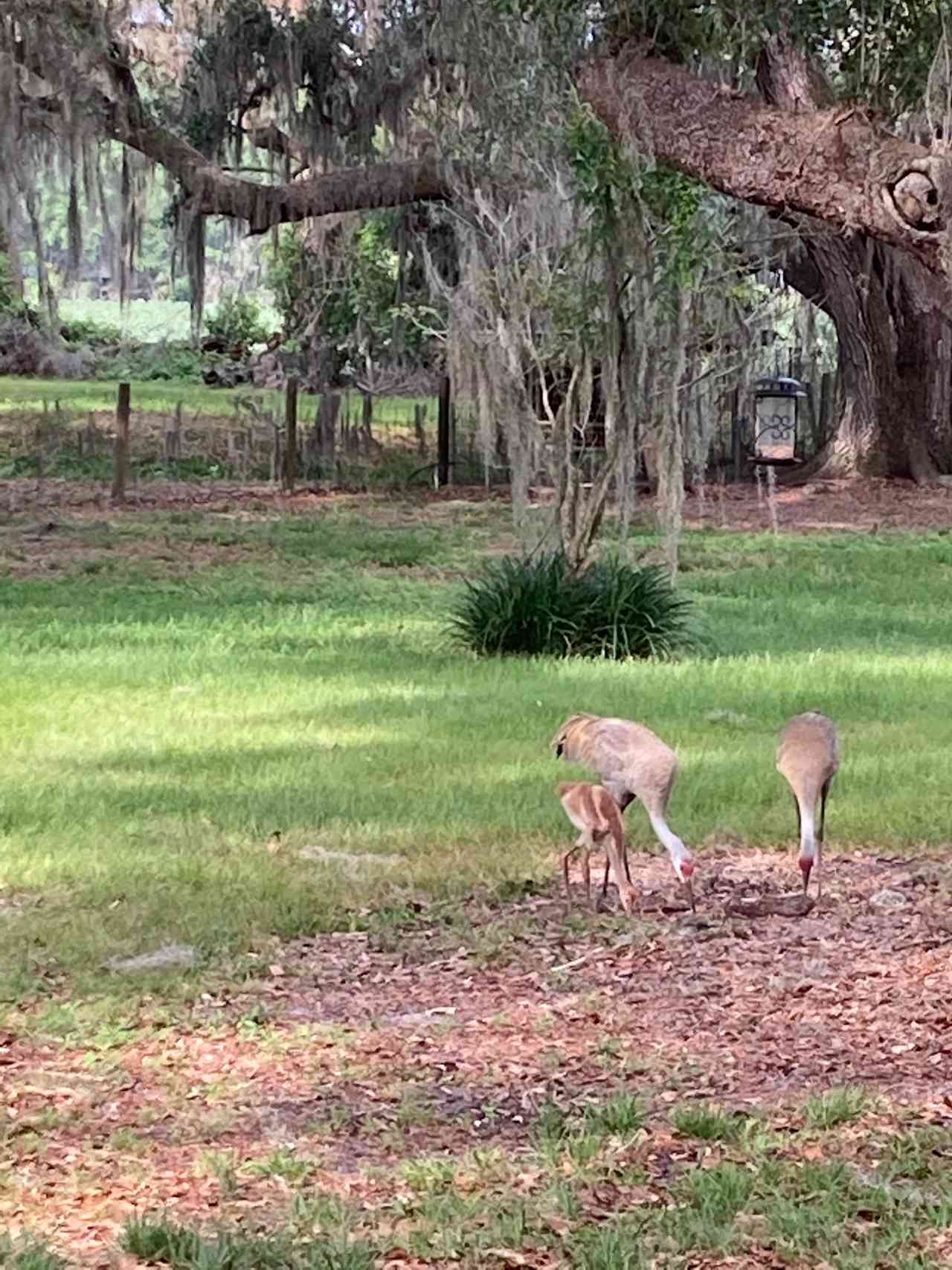 Hideaway Creek