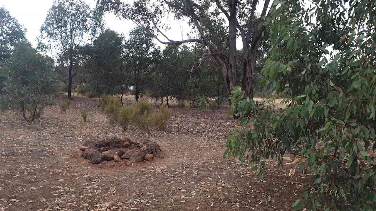 Campsite 1.  In the background is the rise in earth surrounding the water hole.