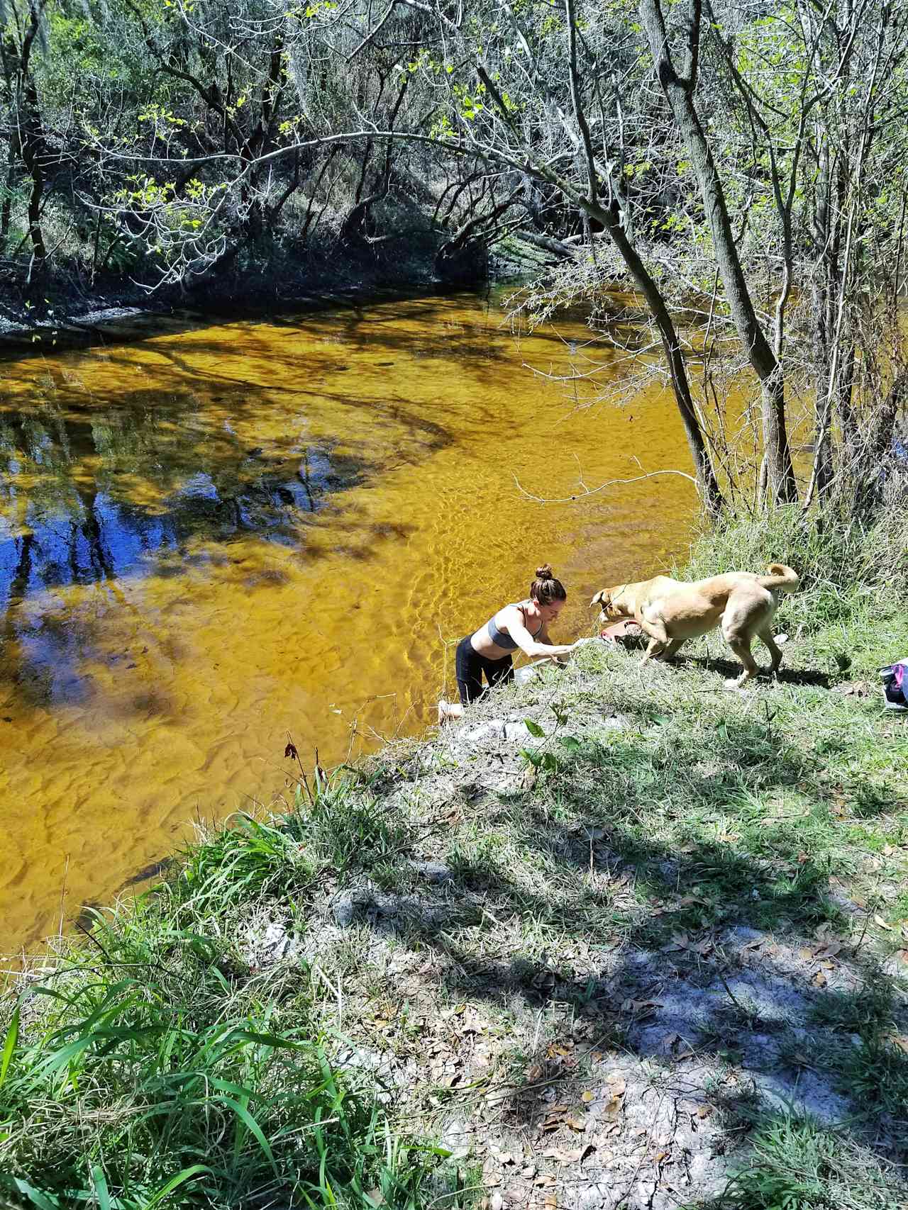 Sandy Bottom River Retreat