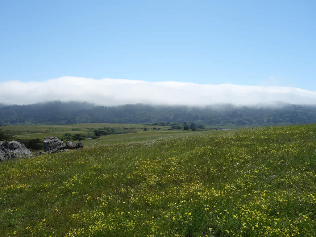 Tomales Bay State Park