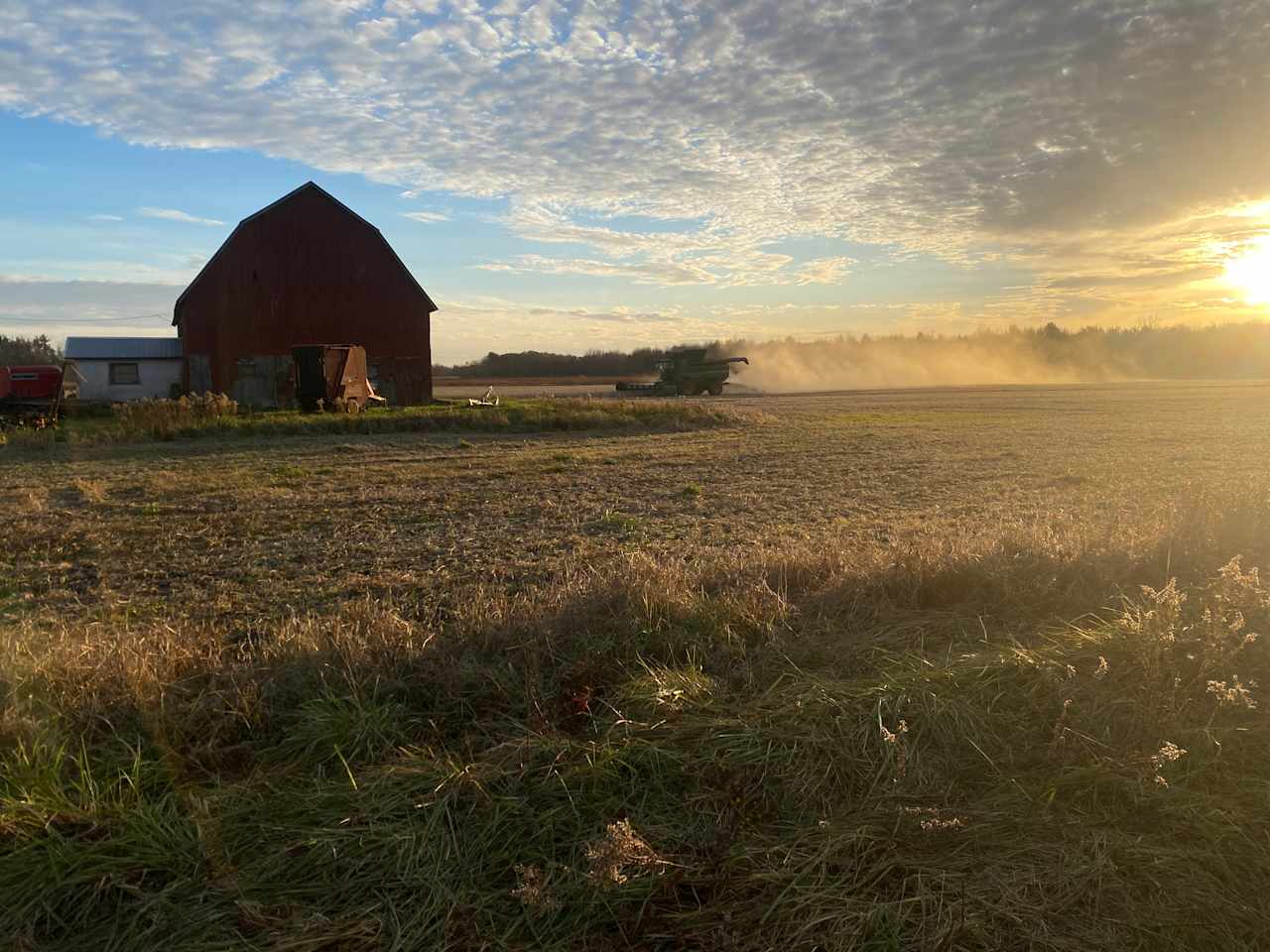 The Windy Homestead