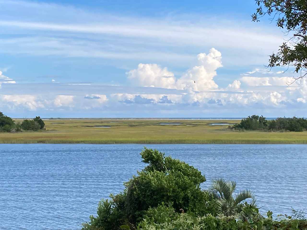 Oceanview Microfarm is saltwater paradise.  Come play. 