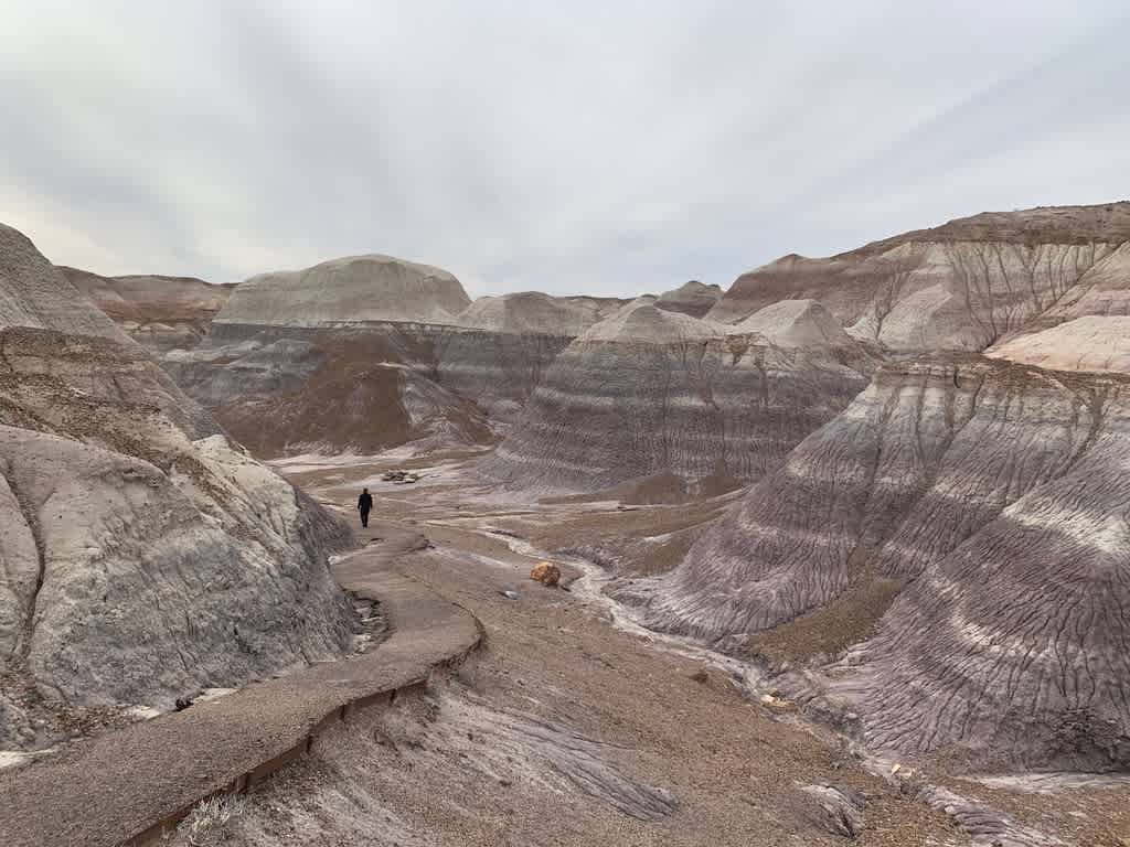 Petrified Forest