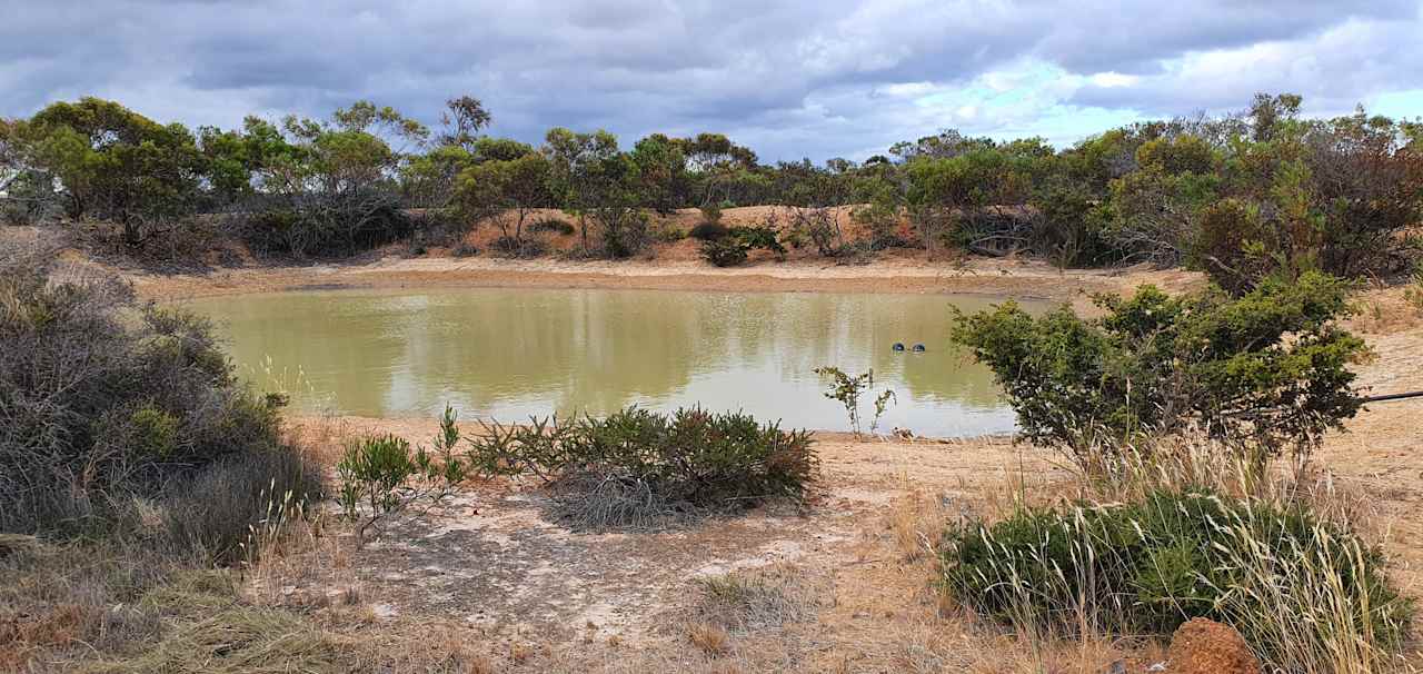 2 dams on the property 