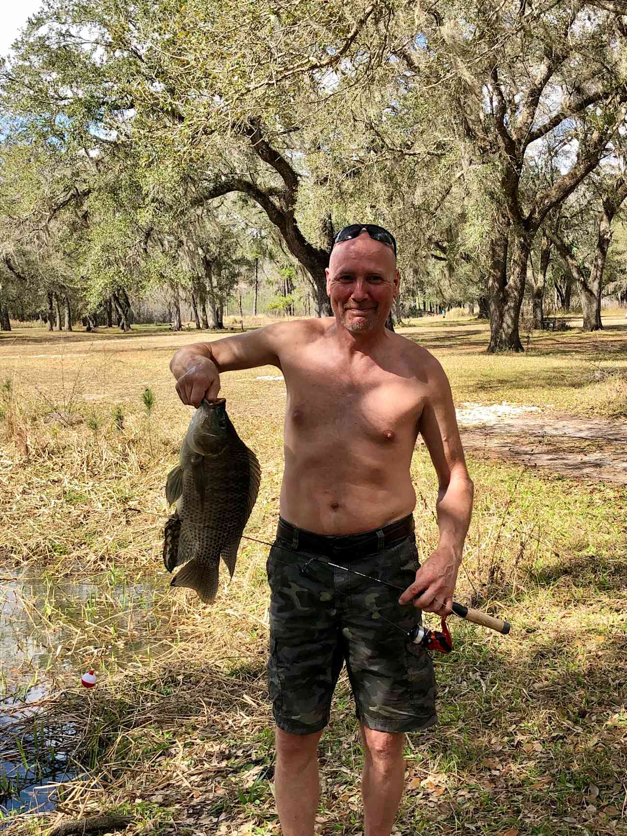 Tilapia fish caught at pond 