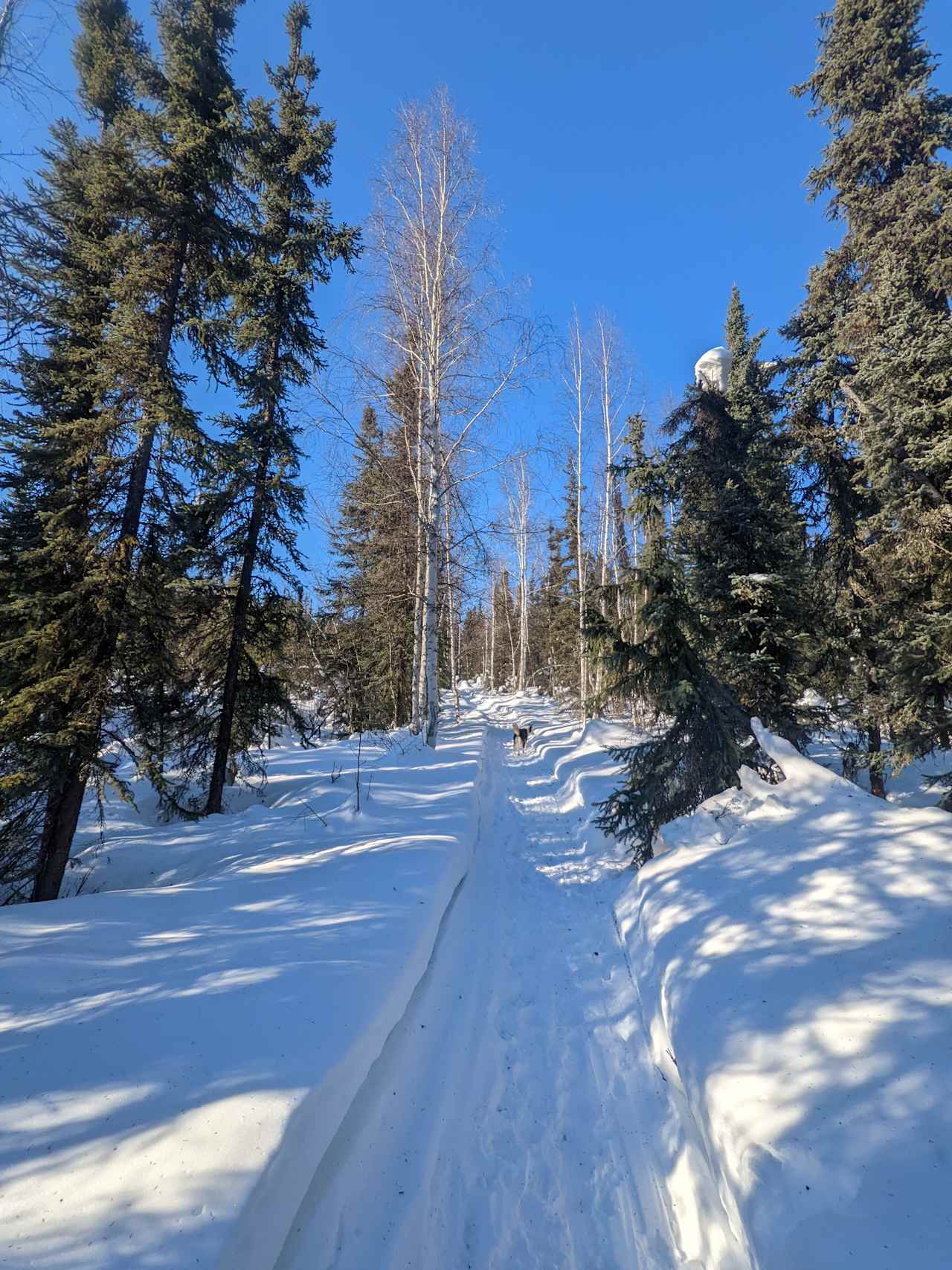 Windy Creek Wildlands