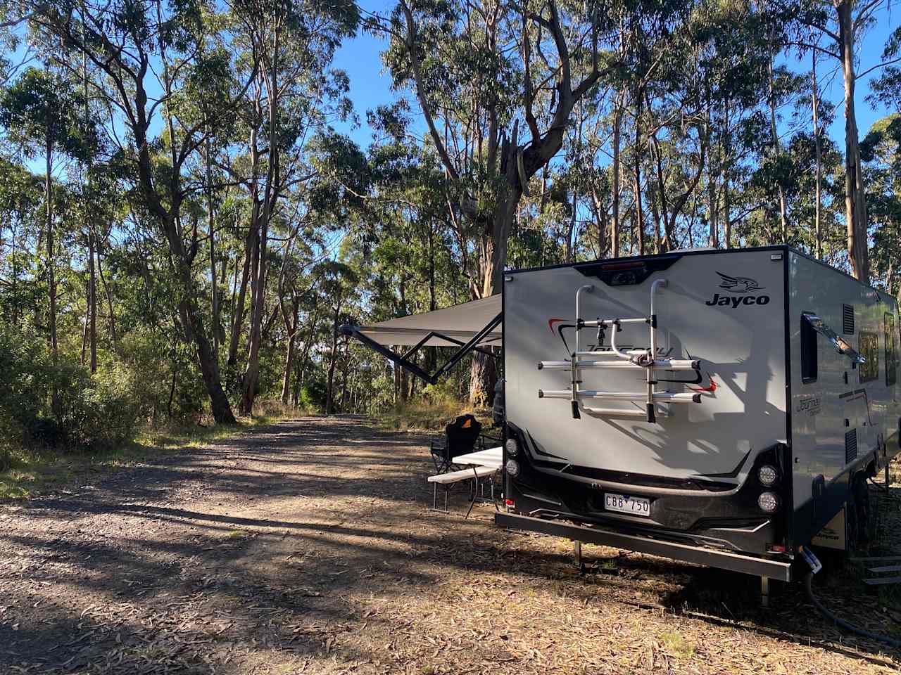 Tall Trees Otways Camp