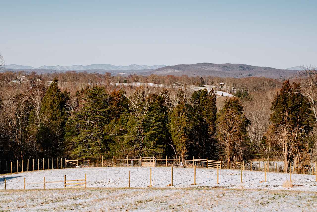 Some views along the trails on the property. 