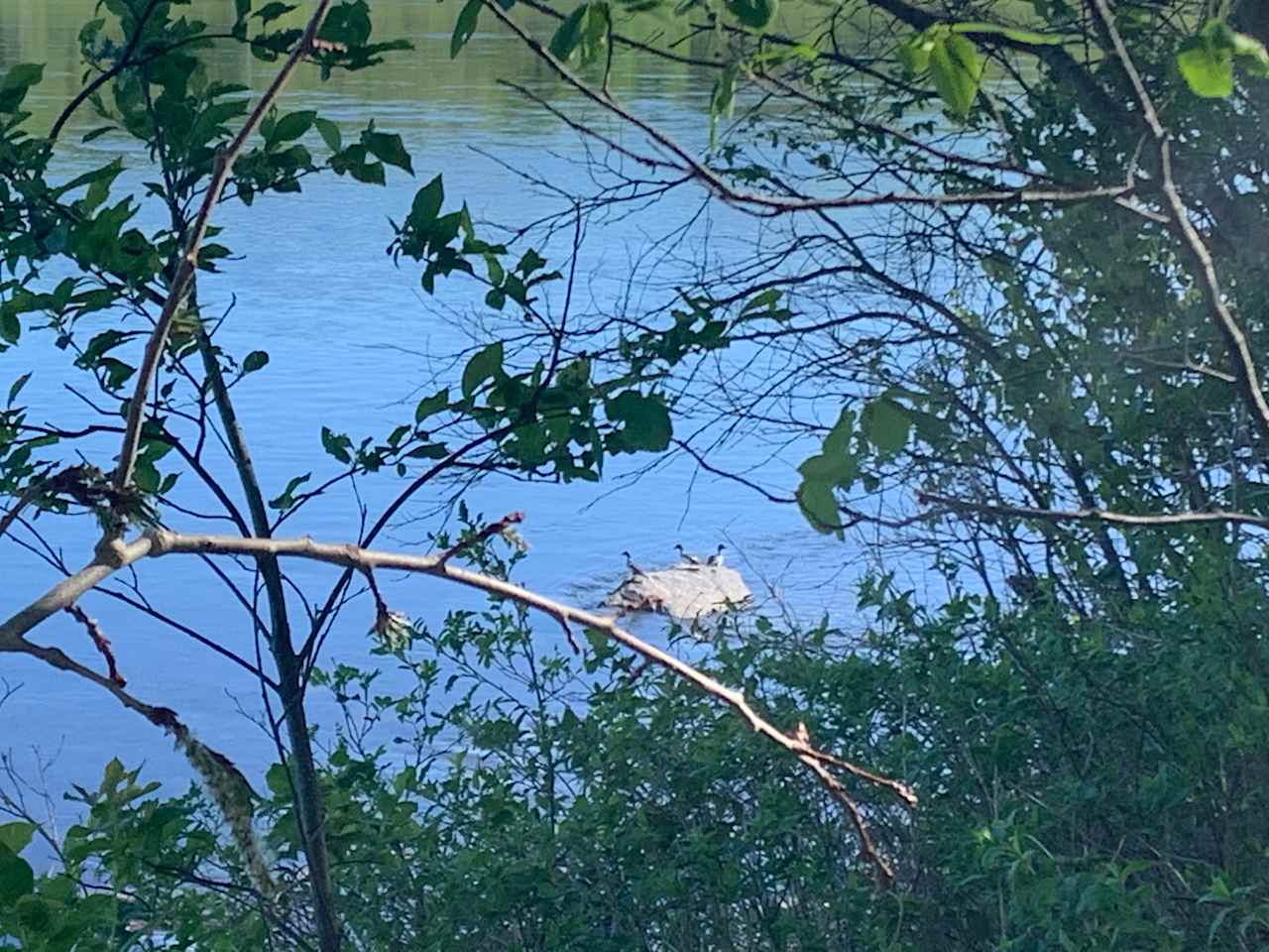 St John River Front Tenting