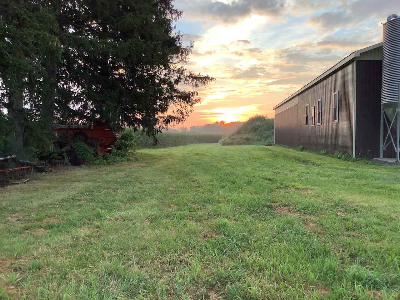 Wake up beside a field where the deer may still be grazing or leaping toward the bush where they spend their day