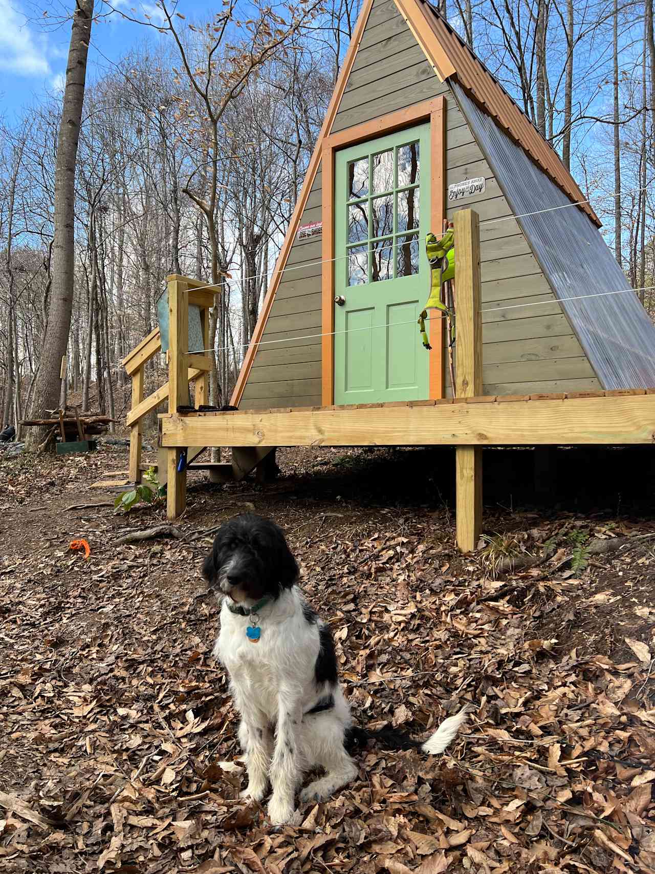 Mystic Meadow Love Shack