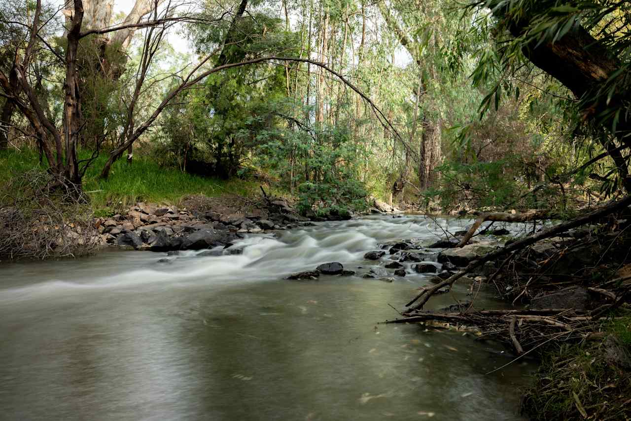 Go for a swim or cast a line in the King River. 